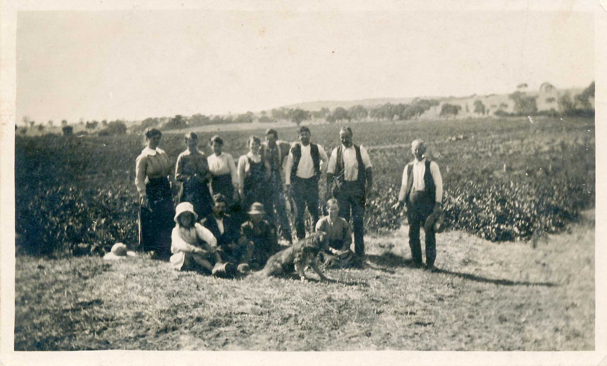 Group in Stonegarden vineyards c1870s