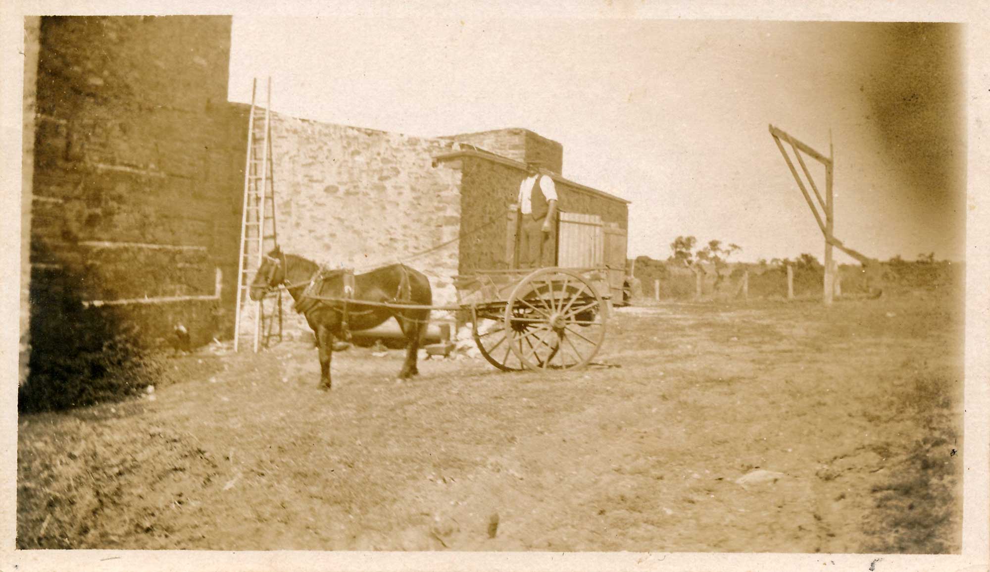 Horse and cart Stonegarden winery c1870s