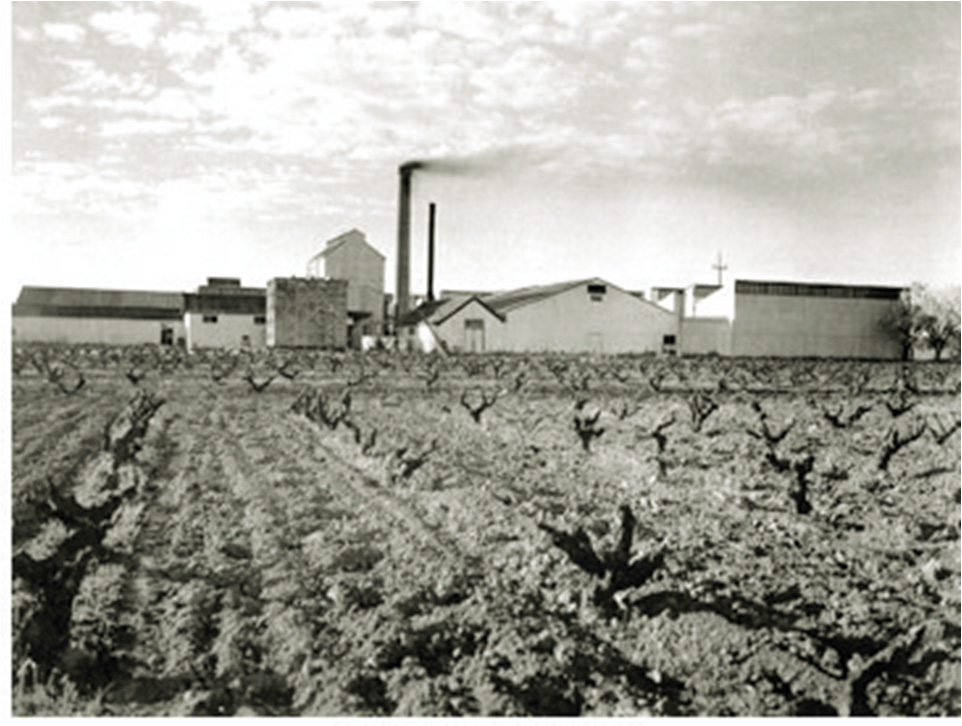 Hamilton's Ewell winery