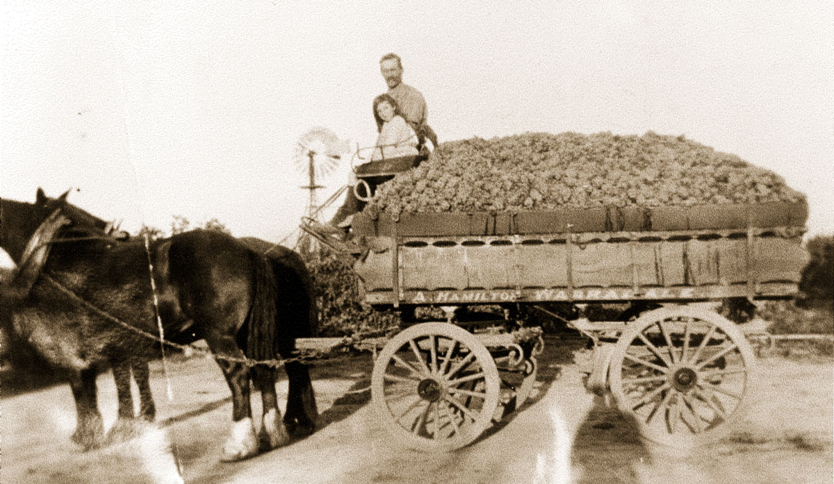 Old-cart-sepia