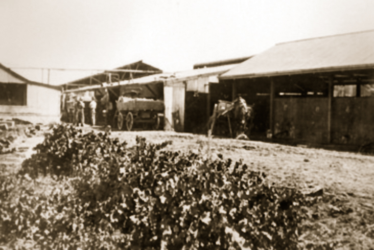 Sheds