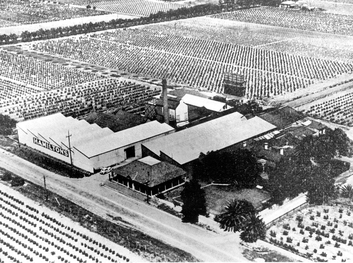 Vineyard-aerial-2