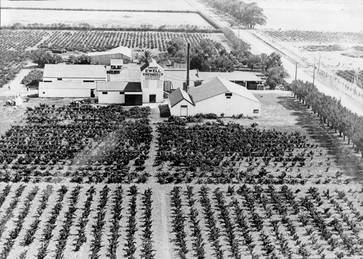 Vineyard-aerial-3