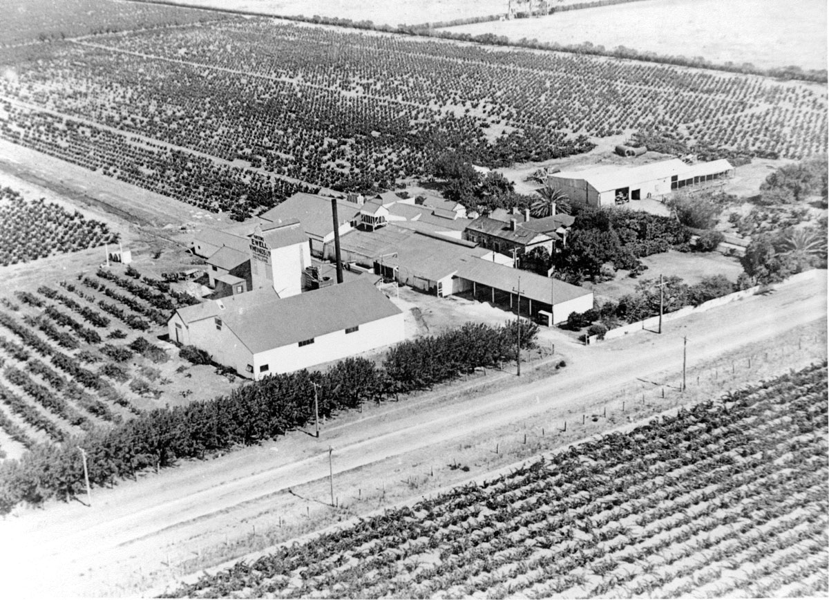 Vineyard-aerial