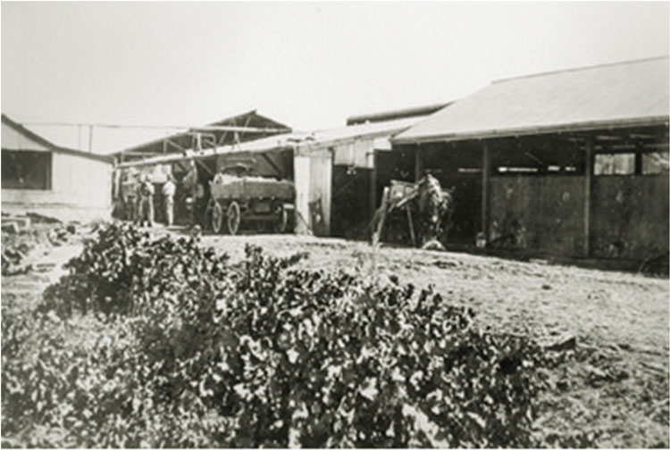 equipment-old-winery