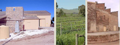 Terra Rossa soils under blue skies. 