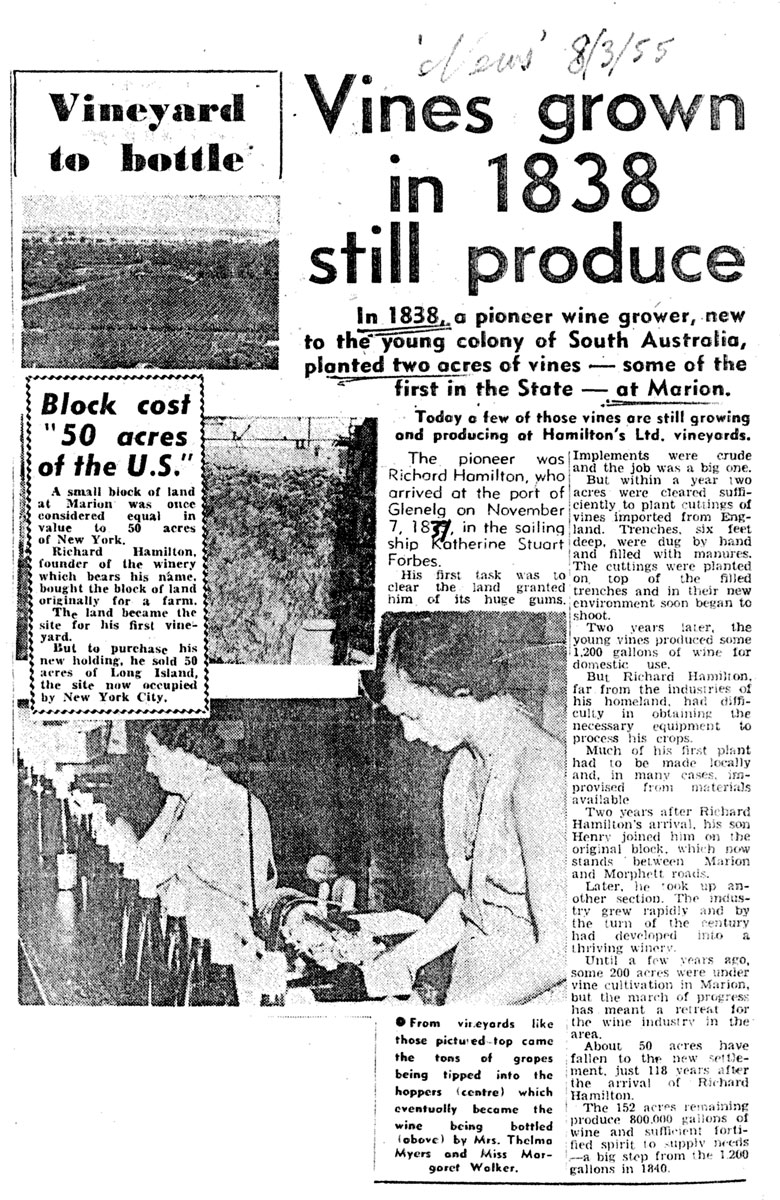 Vineyard-article-March-1955